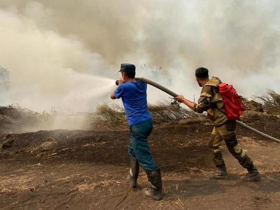 В тушении лесных пожаров в Башкирии приняли участие свыше 500 добровольцев