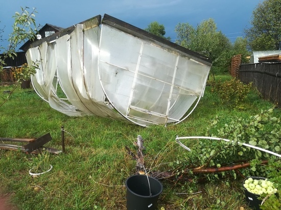 В Кировской области 21 населенный пункт оказался без света из-за урагана