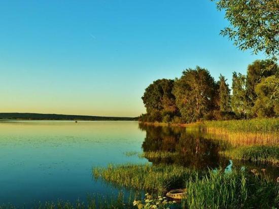 Костромская экология: Галичское озеро будут чистить