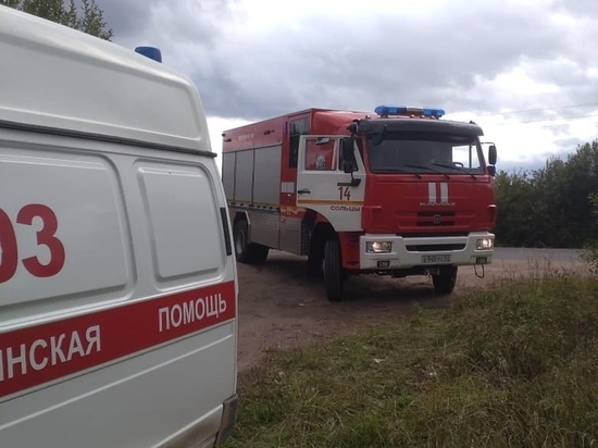В Новгородской области две «потеряшки» выбрели из леса на звук сирены