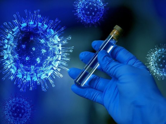 Ученые сняли видео, на котором видно, как коронавирус распространяется в организме и поражает органы