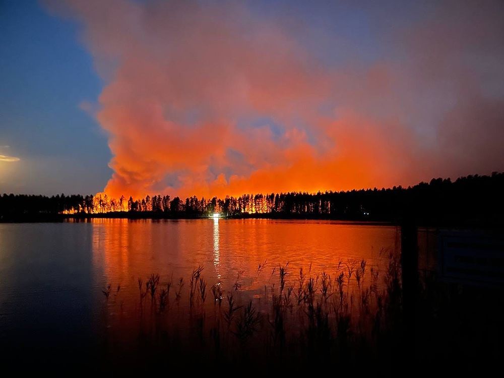 Лесной пожар у озер Карась и Шап в Марий Эл тушили всю ночь