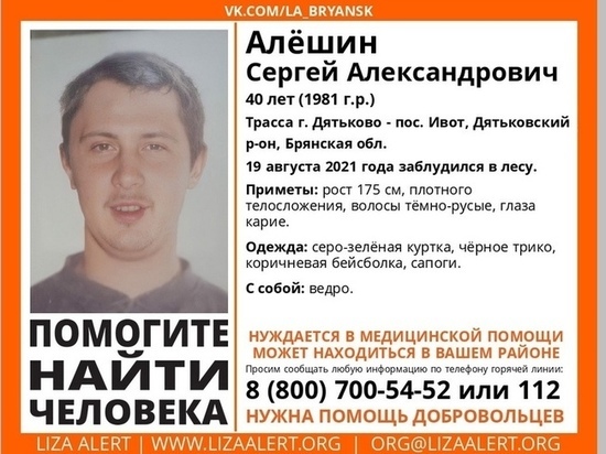 Под Брянском заблудился в лесу 40-лктний мужчина