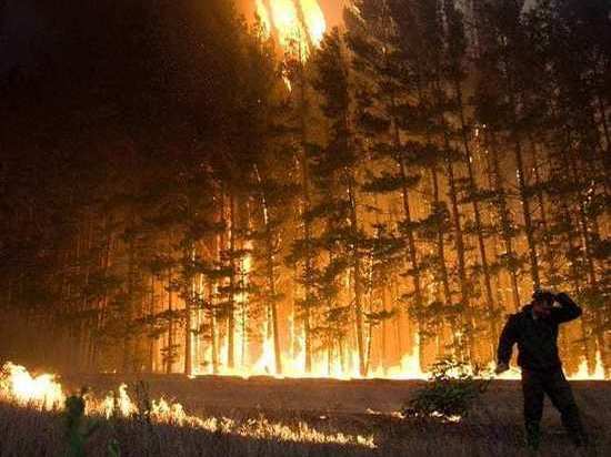 Сотрудники Приокско-Террасного заповедника рассказали об опасности пожаров