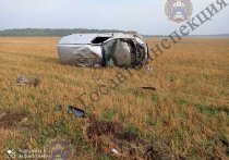 Накануне, 19 августа, около половины седьмого утра на 32-ом километре дороги "Щекино-Липки-Киреевск" в Киреевском районе Тульской области произошла авария. 