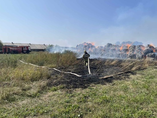 В Чувашии пожар уничтожил свыше 11 тонн сена