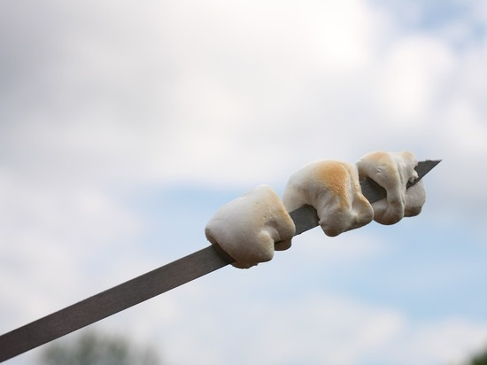 Уфимский бизнесмен проткнул шампуром собутыльника, отдыхая на природе