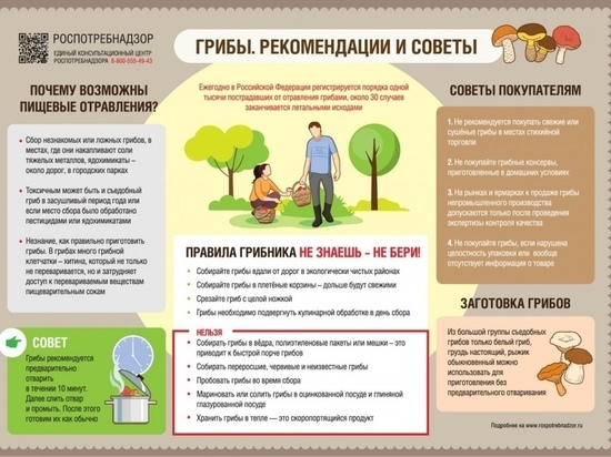 В Ивановской области уже в двух случаях грибы стали причиной отравлений