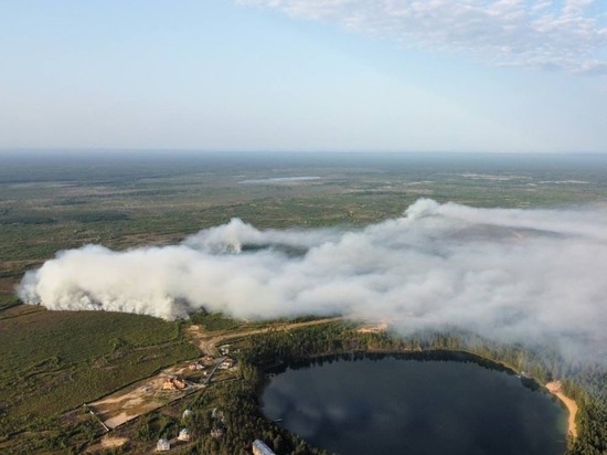 Лесной пожар в Марий Эл захватил 700 гектаров