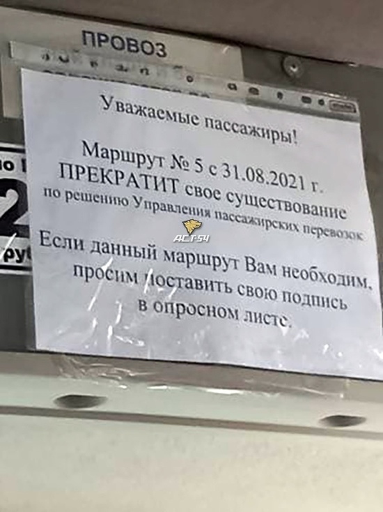 В Новосибирске собирают подписи за сохранение двух маршрутных такси