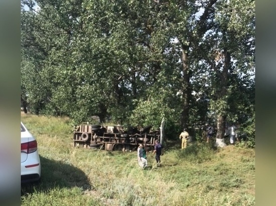 В Ростовской области иномарка вылетела в кювет: пострадали трое