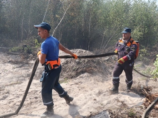 В Сарове и Первомайском районе введен режим ЧС из-за пожаров