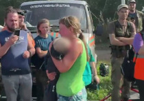 На поиски пропавшей три дня назад в Смоленской области годовалой Лизы (имя изменено) вышли  около несколько сотен человек: военные, полиция, экстренные службы, волонтеры и неравнодушные местные жители