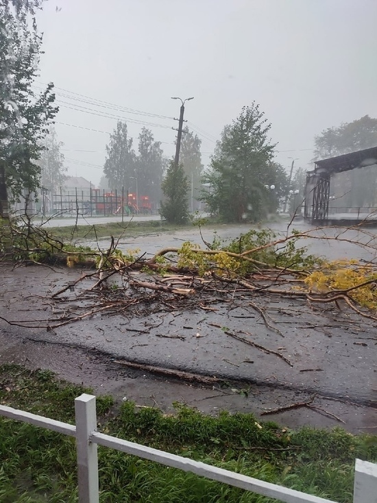 В Кировской области дали электричество в район, пострадавший от урагана