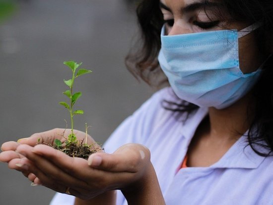 В ДНР выявлено более 400 новых случаев COVID-19