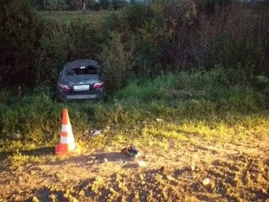 На севере Омской области в ДТП водитель «Тойоты» улетел в кювет и погиб