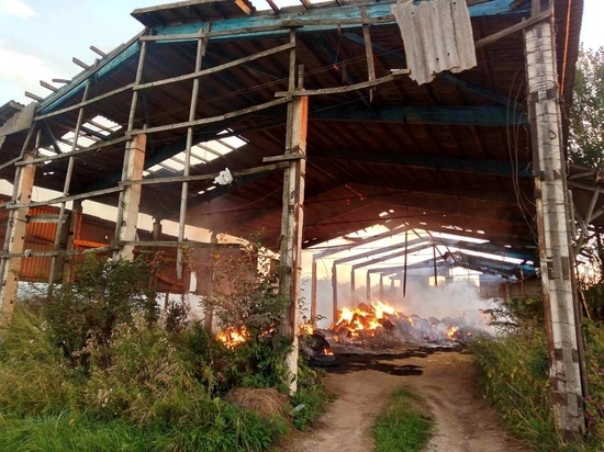 В Смоленской области сгорели 60 тонн сена