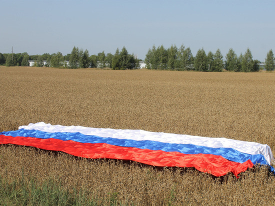 В Нижнеломовском районе на поле растянули Российский триколор