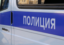 Двое рабочих из Татарстана обнаружены мертвыми в частном доме в поселении Новофедоровское в Новой Москве