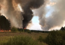 Лесной и полевой пожары ликвидированы в Каракулинском районе