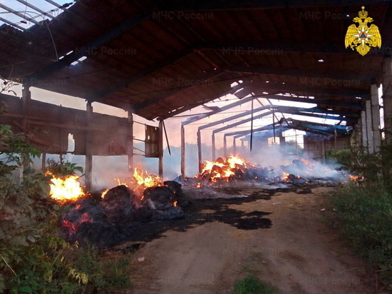 200 рулонов сена сгорели в Рославльском районе