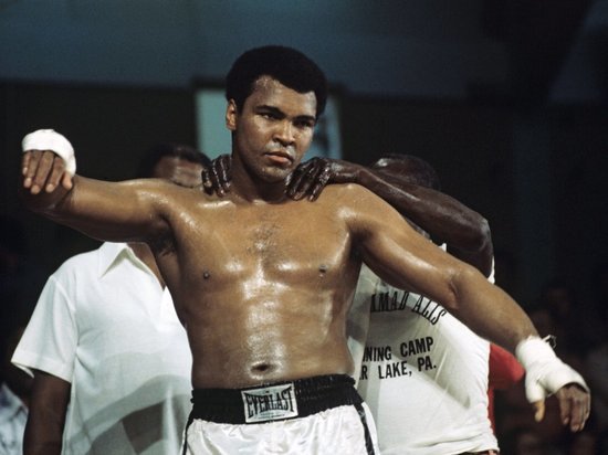 Яблони и яблоки: как дети и внуки великих боксеров продолжали их дело