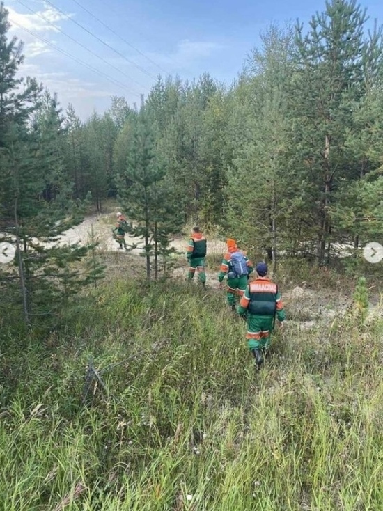 Спасатели стали чаще выезжать на поиски пропавших грибников в Ноябрьске