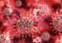 За прошедшие сутки в Забайкалье медики выявили коронавирусную инфекцию у 224 человек в Забайкальском крае, в моногоспиталях региона скончались три пациента с COVID-19