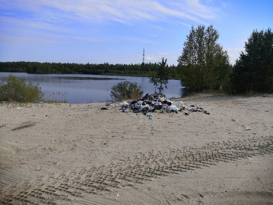 Отдыхающие оставили гору мусора на берегу озера в Ноябрьске
