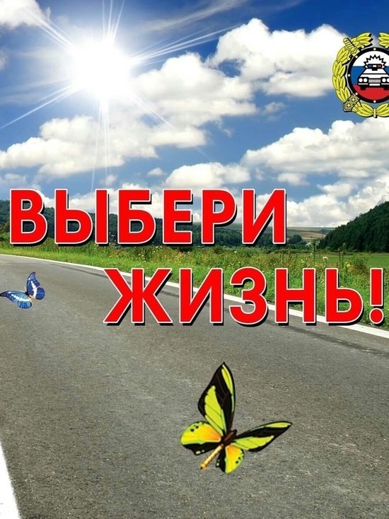 Ямальцы возвращаются из отпусков: ГИБДД напомнит водителям о правилах движения по трассе в ЯНАО