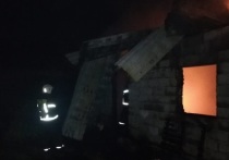 Ранее "МК в Туле"сообщал о пожаре в ясногорском СНТ "Рябинушка"