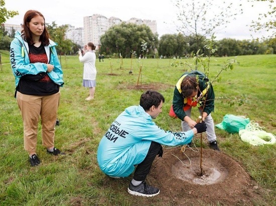 Яблоневый сад появился в петербургском парке Малиновка при поддержке партии «Новые люди»