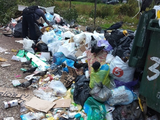 Новгородцы посетовали на горы мусора и «страшную вонь» под окнами