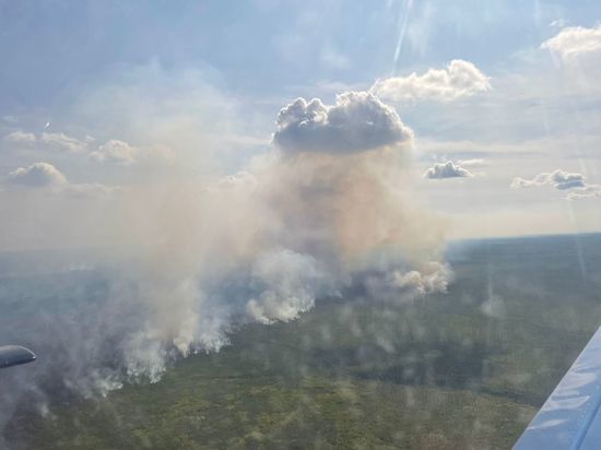 Игорь Чкалов во время авиапатрулирования обнаружил новые очаги возгорания в Нижегородской области