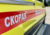 В минувшие выходные около десяти часов вечера в Пронском районе Рязанской области на 241-м километре дороги Р-22 "Каспий" произошла авария