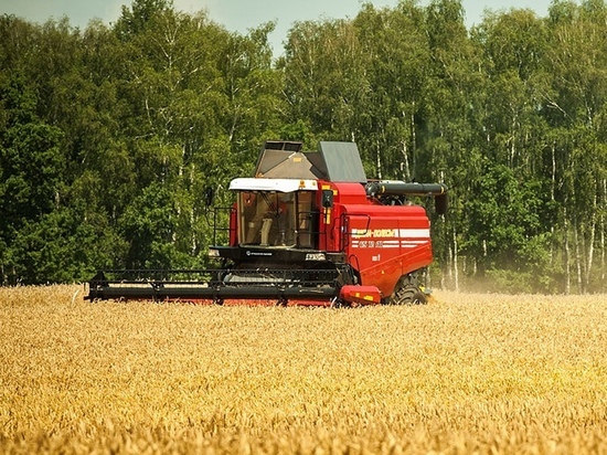 Более 76 тысяч гектаров зерна убрали в Смоленской области