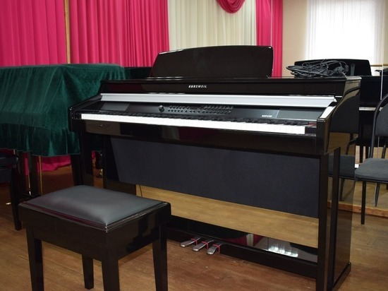  Школа искусств в Борисовке получила 50 музыкальных инструментов