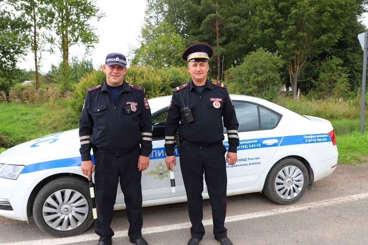 Сотрудники ГИБДД спасли тонувшего в болоте жителя Островского района - МК  Псков