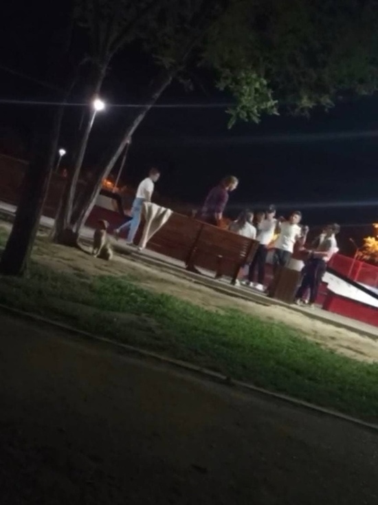 Астраханцам придётся ответить за массовую драку в скейт-парке