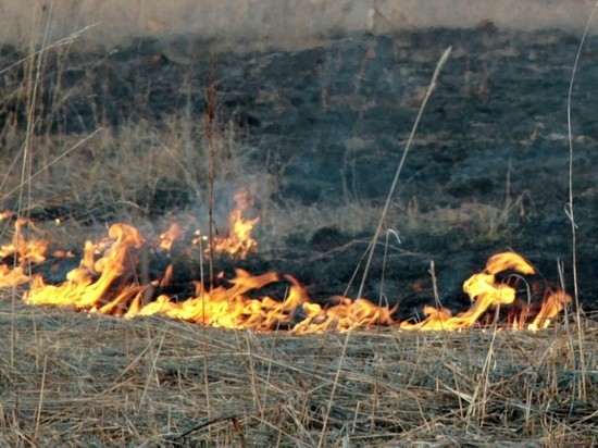Волонтер погиб при тушении горящей травы под Оренбургом