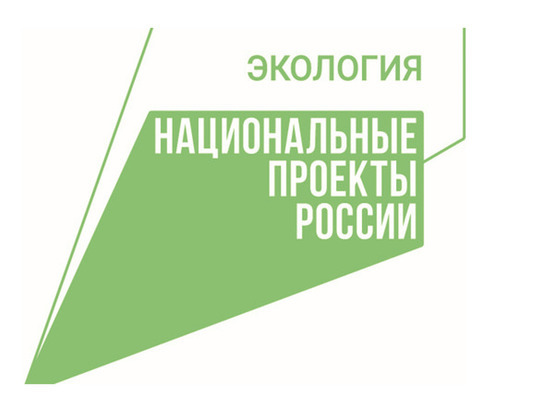  В Якутии компания «Колмар» присоединилась в акции «Сохраним лес»