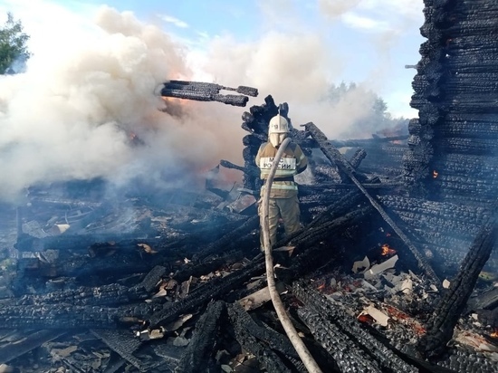Новгородка заживо сгорела в полыхающем доме