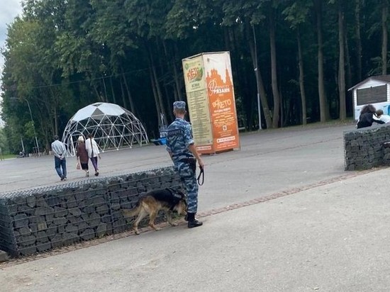 В Рязани стартовали масштабные рейды полиции по общественным местам