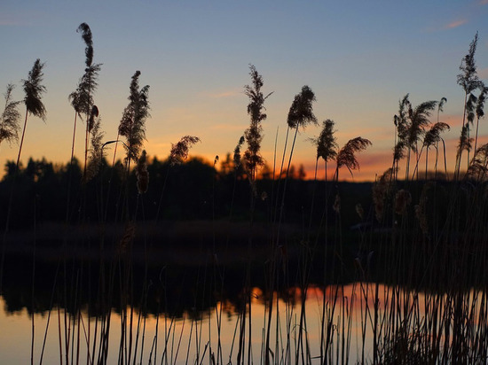 В водоеме Донецка обнаружено тело неизвестного