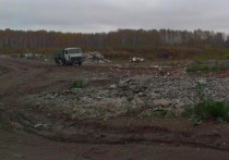 Мэрия Новосибирска объявила аукцион на разработку документации для ликвидации мусорного полигона недалеко от микрорайона Пашино
