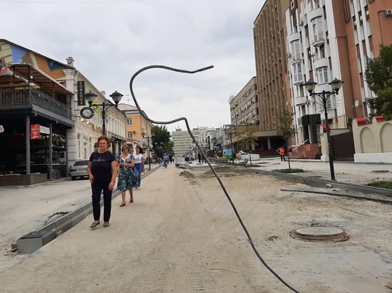 В центре Саратова на пешеходной зоне появилась металлическая кобра
