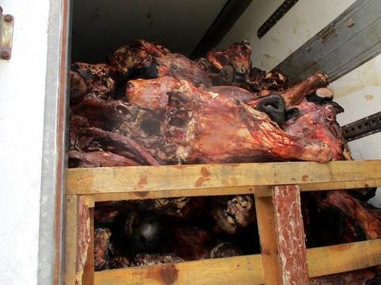 В Брянскую область не пустили более 32 тонн мяса из Белоруссии
