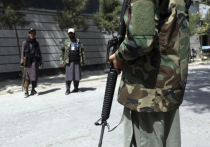Представители радикального движения «Талибан» (запрещенная в РФ террористическая организация) планируют сформировать так называемый «совет по управлению Афганистаном» из 12 человек