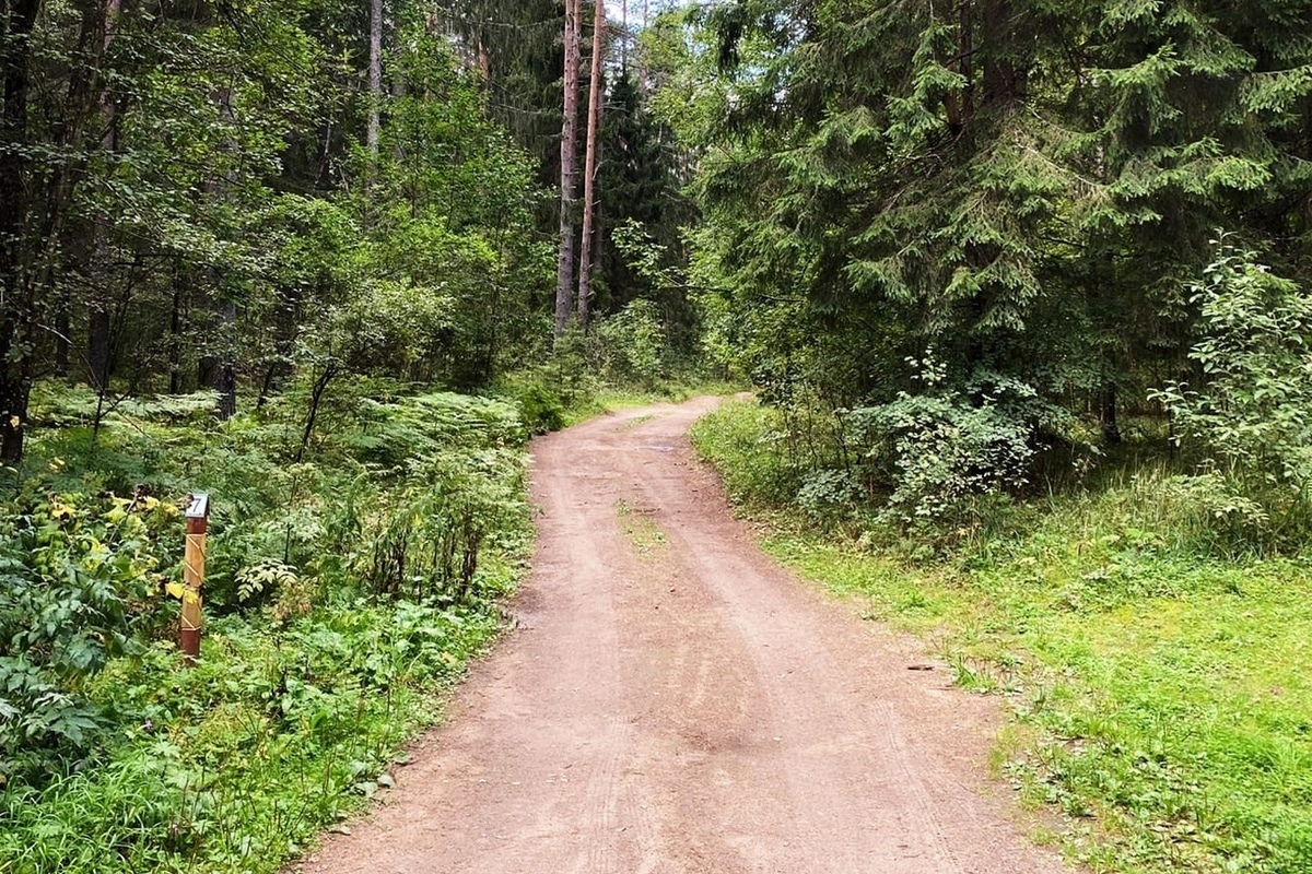 Валдайская тропа фото