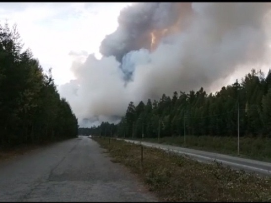Пожарные поезда направлены для тушения пожара на горе Волчиха возле Екатеринбурга